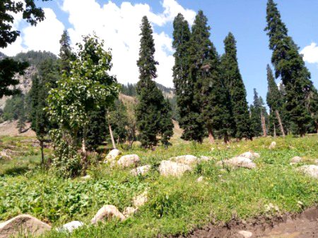 Beautiful Nature image