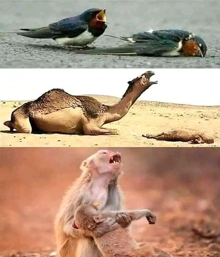 Beautiful Nature image