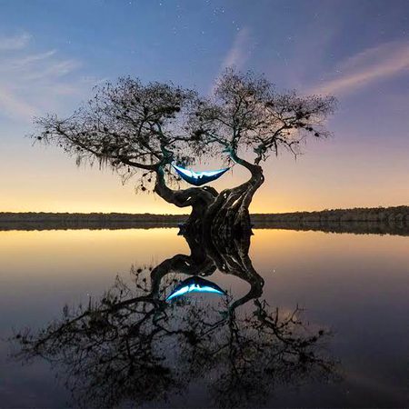 Beautiful Nature image