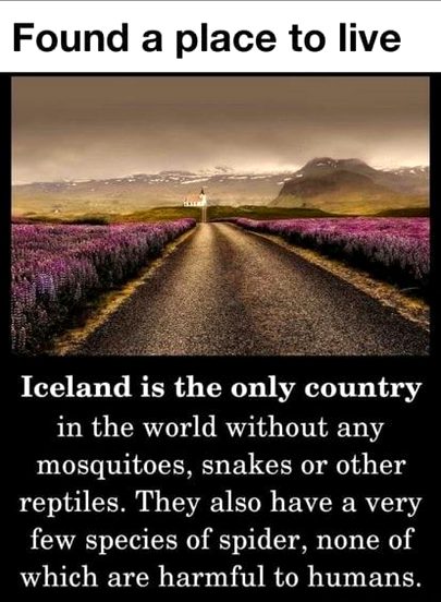 Interesting Posts image