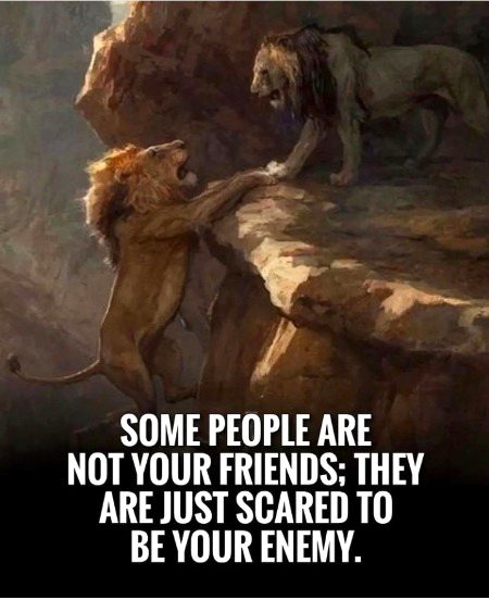 Life Advice image