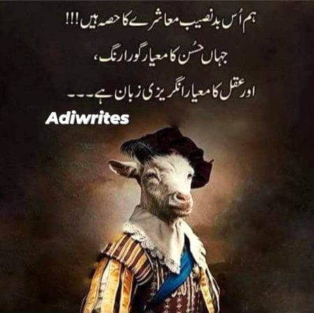 Life Advice image