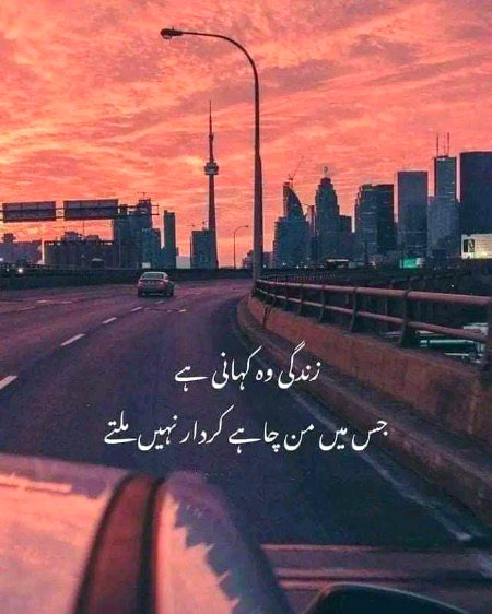 ✨……💯…….✨