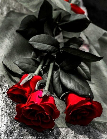 Beautiful Nature image