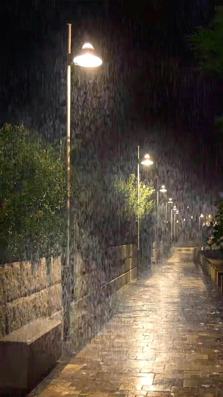 Asslam O Alikum To All sweet dd Family 🌹