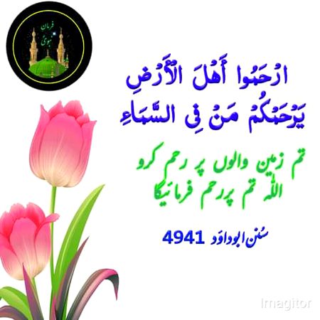Islamic Quotes image