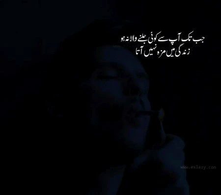 .q1everyone✌🏻✌🏻💯