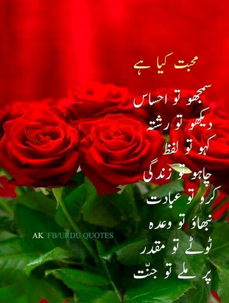 Kia mohbat SuChi b hosakti hai 🤔😔😔