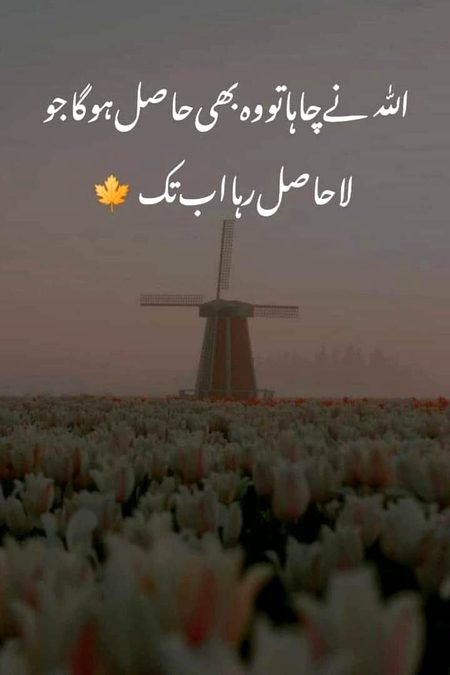 Motivational Quotes image