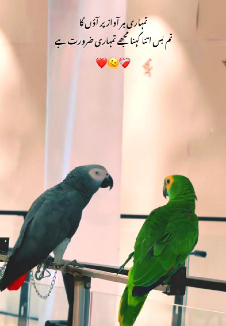 Romantic Poetry image