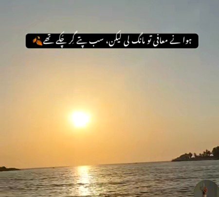 :ہوائیں اگر معزرت بھی کر لیں
تو ٹہنی ٹوٹی ہی رہے گی