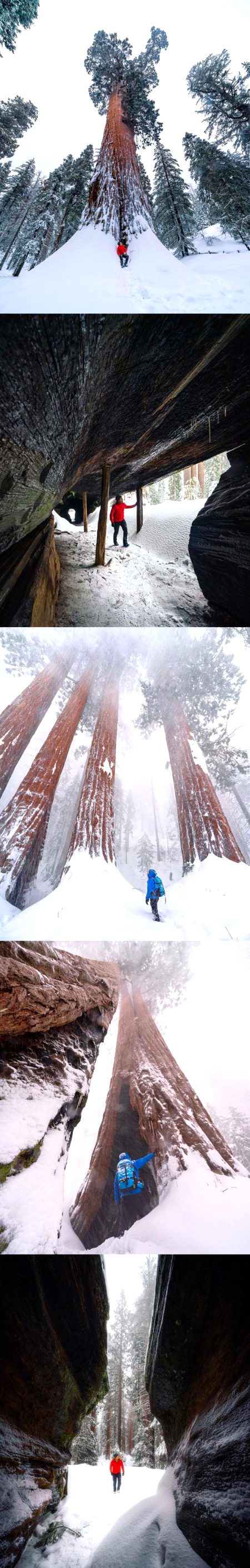 Beautiful Nature image