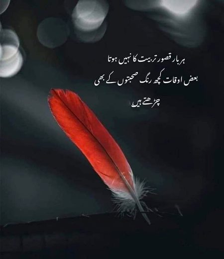 No caption