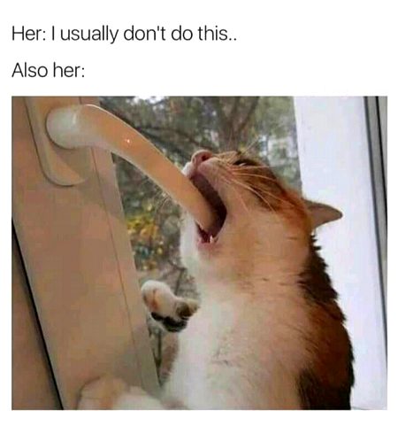 Also her 😃😃