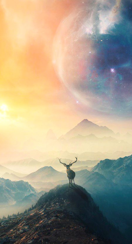 Beautiful Nature image