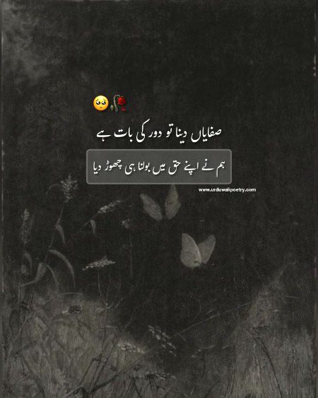 ( ⚈̥̥̥̥̥́⌢⚈̥̥̥̥̥̀)