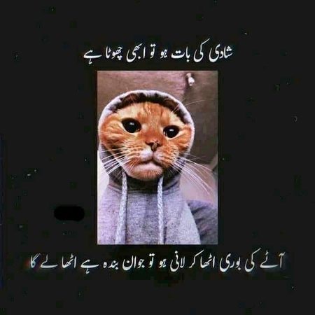 Memes & Satire image