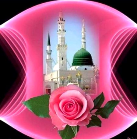 🌹☘️🌹☘️🌹☘️🌹☘️🌹☘️