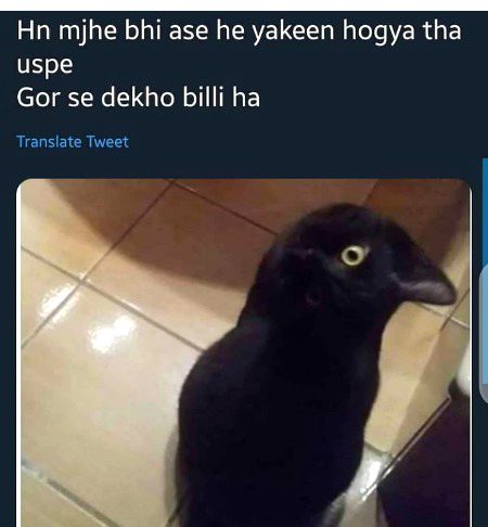 Damadam.Pk