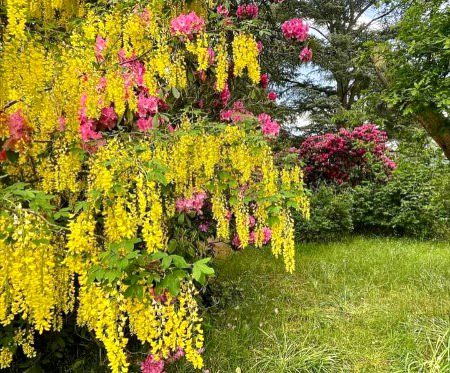 Beautiful Nature image