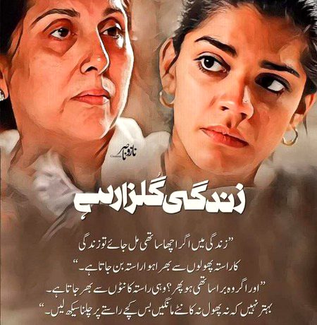 Romantic Novels image