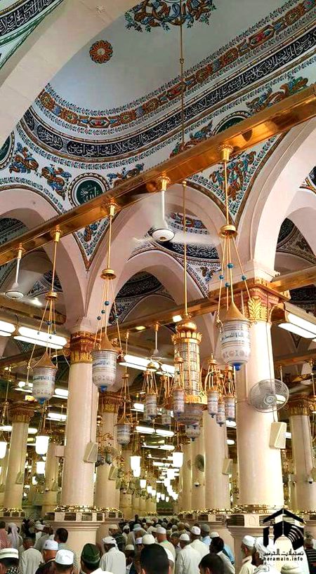 Beautiful Structures image