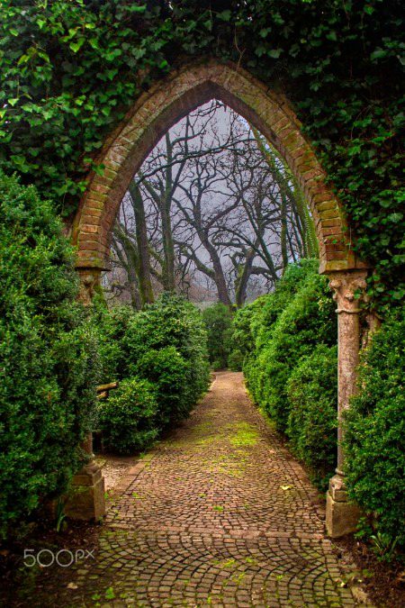 Beautiful Nature image