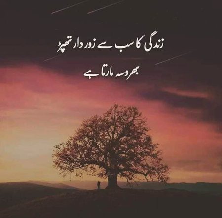 💕🖤❤️💕🖤❤️💕🖤❤️