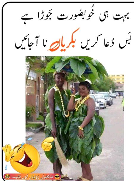 Memes & Satire image