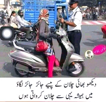 Memes & Satire image