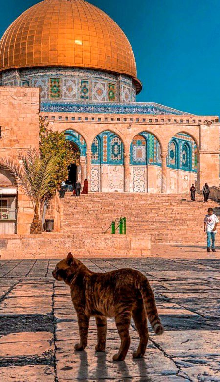 Beautiful Structures image