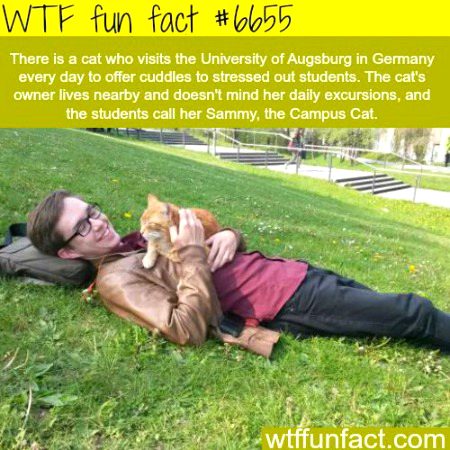 Interesting Posts image