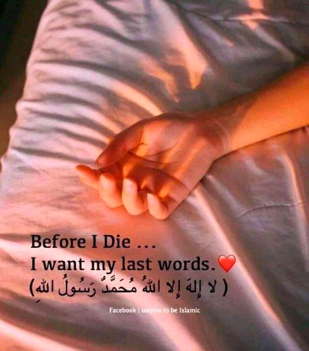 Islamic Quotes image