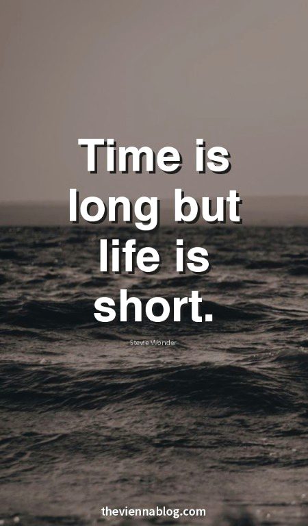 Life Advice image