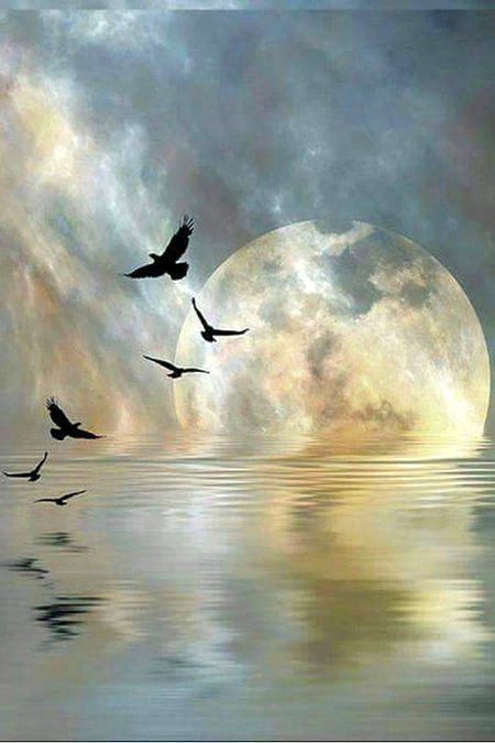 Apny hatho se kar dia azad
Jes preanday main jan thi meri :-)
Jugnu