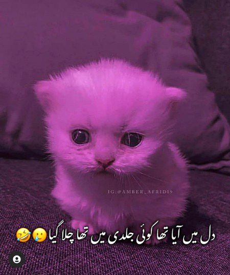 Jokes image
