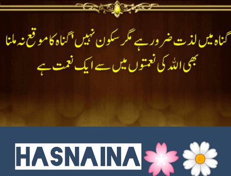 turn to islam