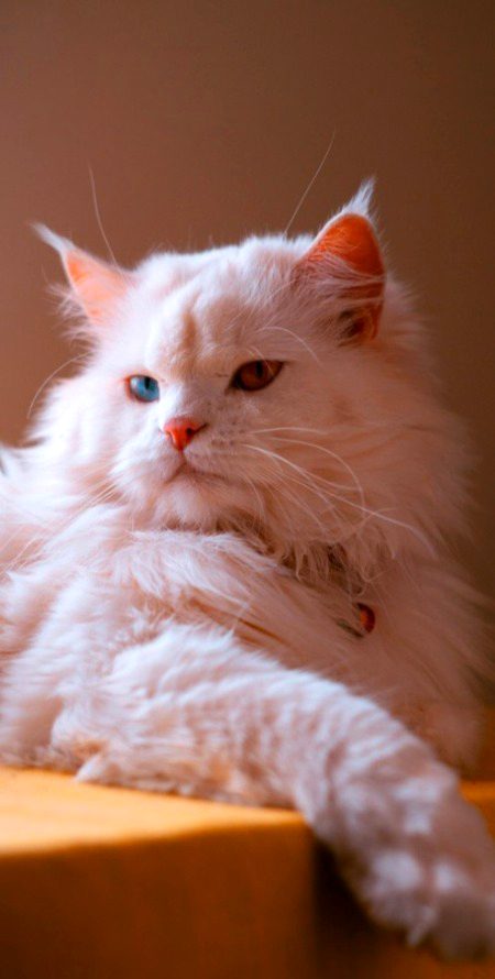 Beautiful Nature image