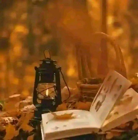 پرانی لالٹین کی مدھم روشنی میں،
کھلی کتاب کے صفحے خاموش تھے،
جیسے کوئی کہانی ادھوری چھوڑ گیا ہو،
اور پتے گر کر اس کی یاد بن گئے ہوں۔