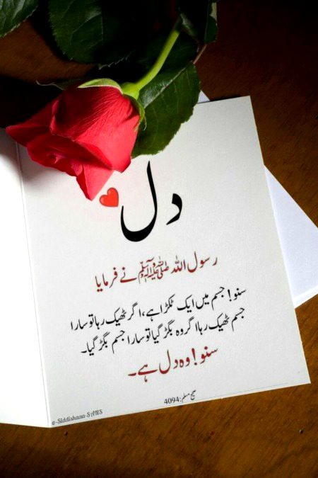 Islamic Quotes image