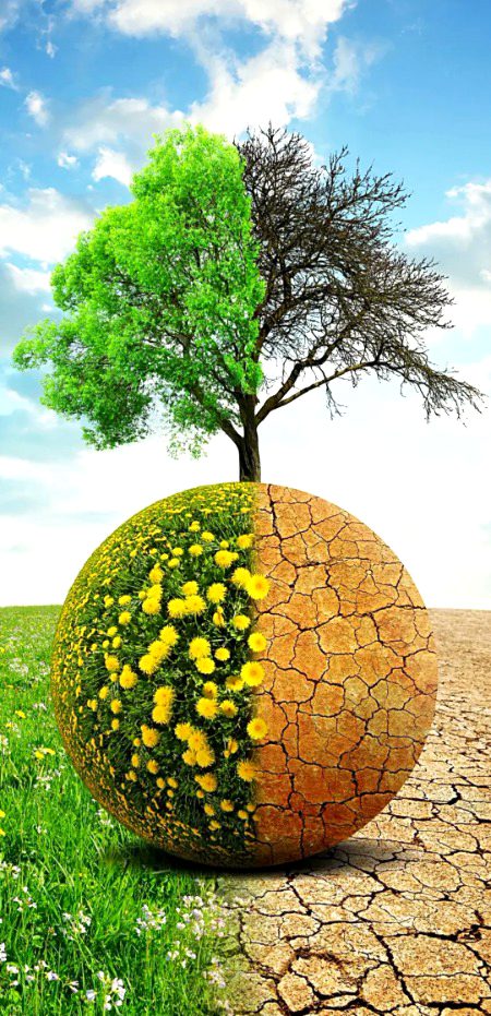 Beautiful nature