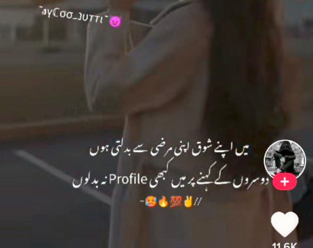 Attitude Quotes image