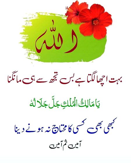 Islamic Quotes image