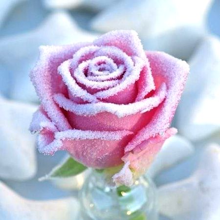 Beautiful Nature image