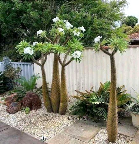 Beautiful Nature image