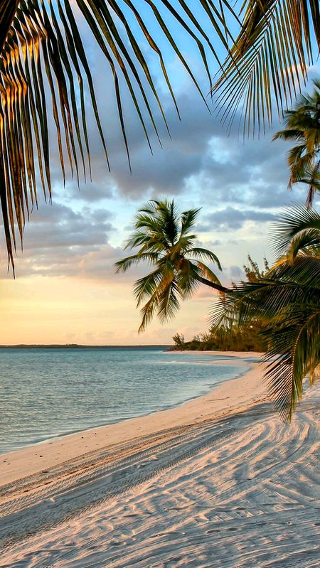 Beautiful Nature image
