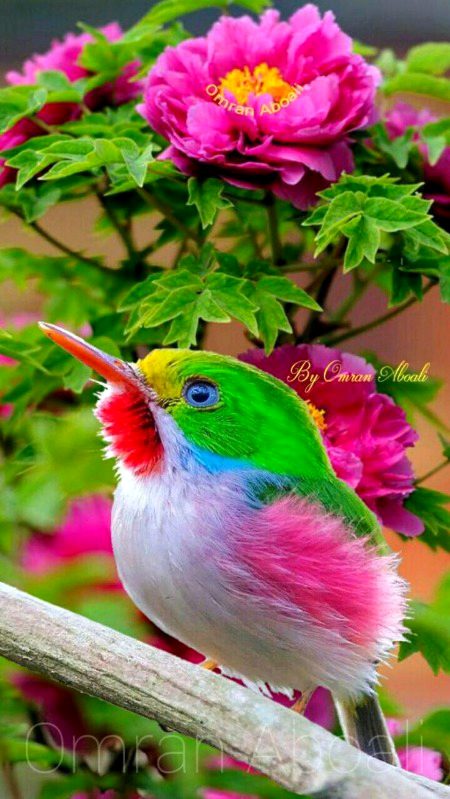 Beautiful Nature image