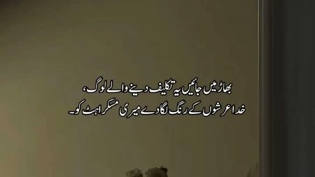 🫶🤍🤍🤍🤍❤️🤍🤍🤍🤍🫶