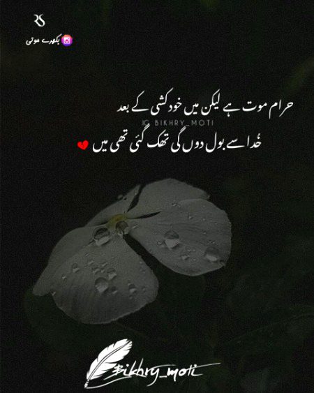 Sad Poetry image