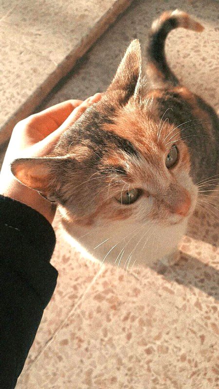 Beautiful Nature image